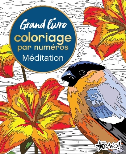 Méditation. Grand livre coloriage par numéros