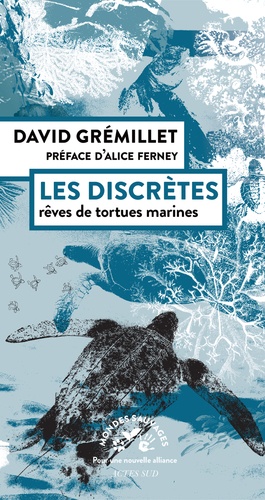 Les discrètes. Rêves de tortues marines