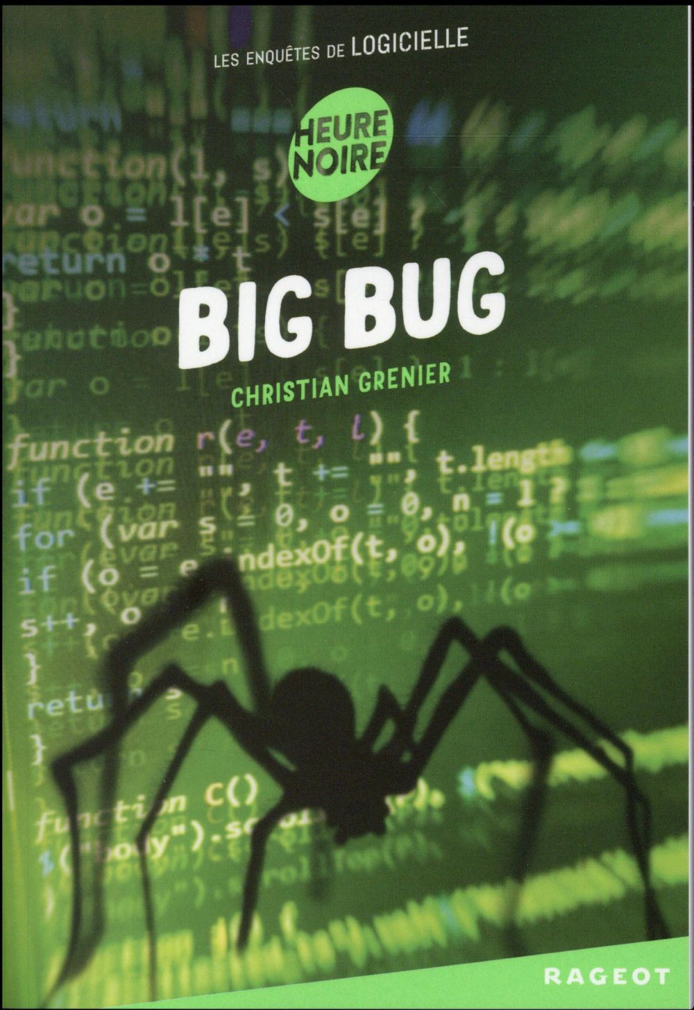 Les enquêtes de Logicielle : Big Bug