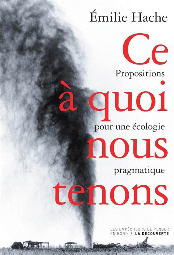 Ce à quoi nous tenons. Propositions pour une écologie pragmatique