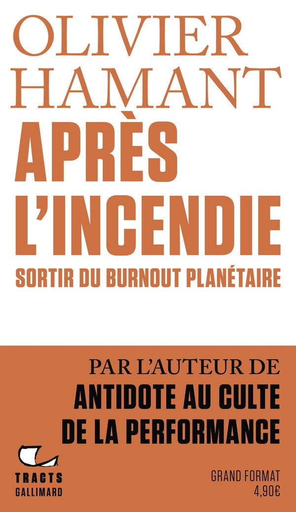 Après l'incendie. Sortir du burnout planétaire
