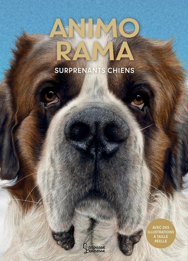 Surprenants chiens