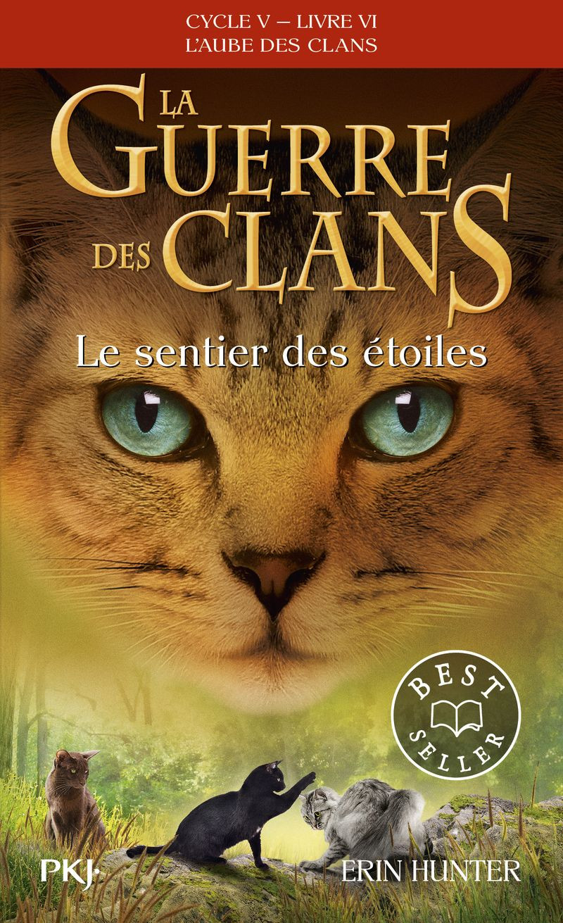 La guerre des clans : L'aube des clans (Cycle V) Tome 6 : Le sentier des étoiles