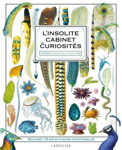 Insolite cabinet de curiosités. Découvrez 170 ans de planches exceptionnelles