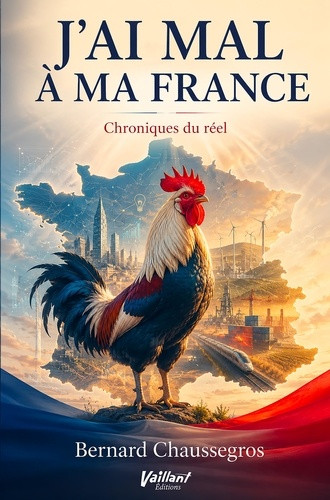 J'ai mal à ma France. Chroniques du réel 2