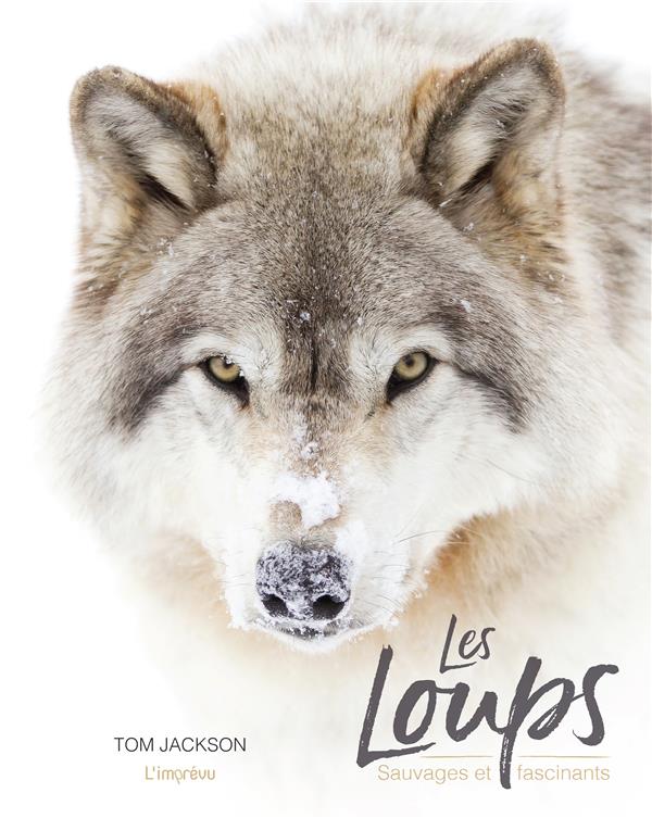 Les loups. Sauvages et fascinants