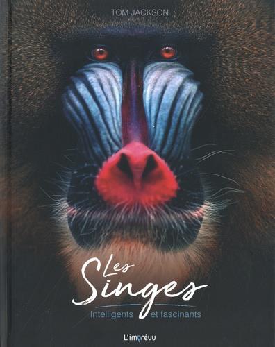 Les Singes. Intelligents et fascinants