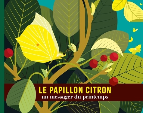 Le papillon citron. Un messager du printemps