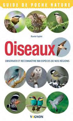 Oiseaux. Observer et reconnaître 50 espèces de nos régions