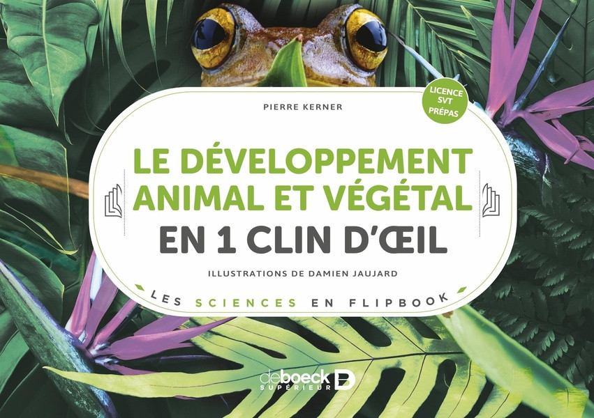 Le développement animal et végétal en 1 clin d'oeil