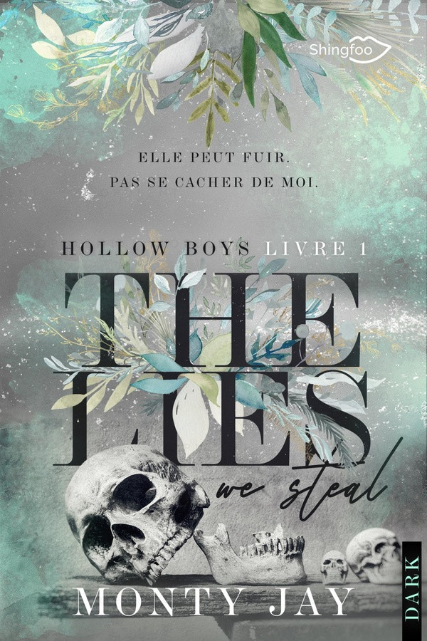 Hollow Boys #1 The Lies We Steal (Dark Romance)