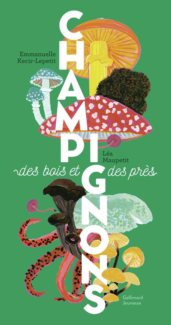 Champignons des bois et des prés