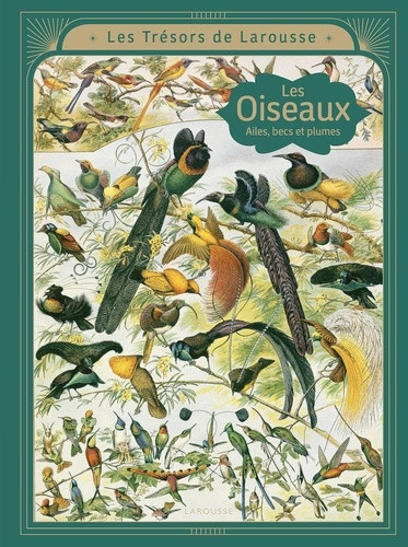 Les Oiseaux. Ailes, becs et plumes