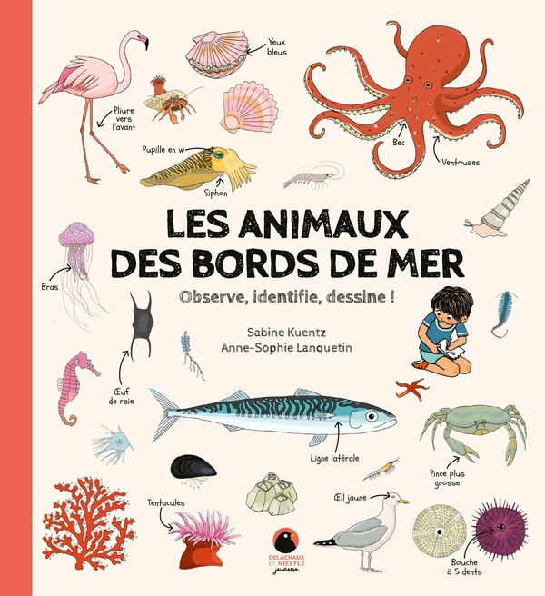 Les Animaux des bords de mer. Observe, identifie, dessine !