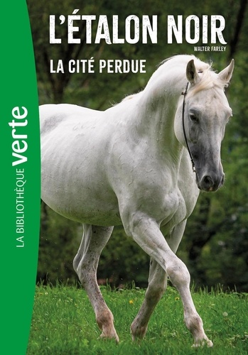 L'Etalon Noir Tome 20 : La cité perdue