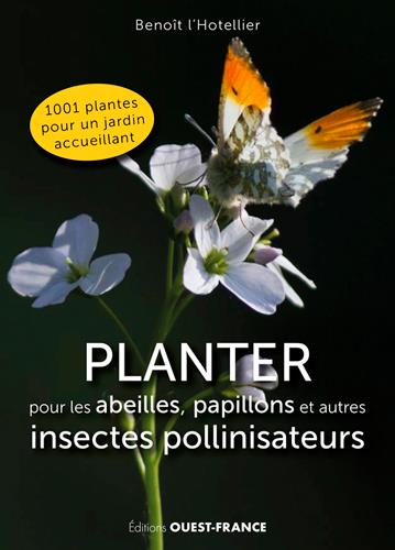 Planter pour les abeilles, papillons et autres insectes pollinisateurs