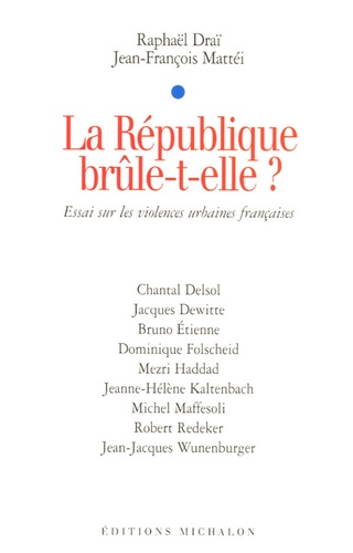 La République brûle-t-elle ? Essai sur les violences urbaines françaises