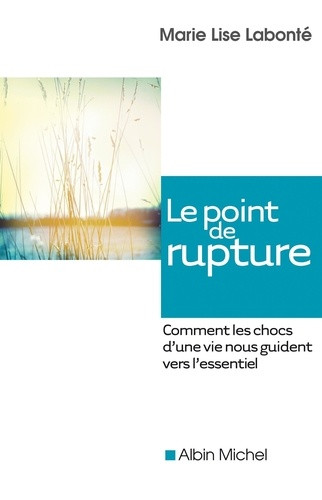 Le Point de rupture. Comment les chocs d'une vie nous guident vers l'essentiel
