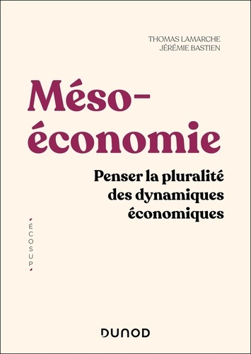 Mésoéconomie. Penser la pluralité des dynamiques économiques