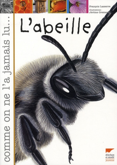 L'abeille