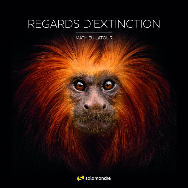 Regards d'extinction