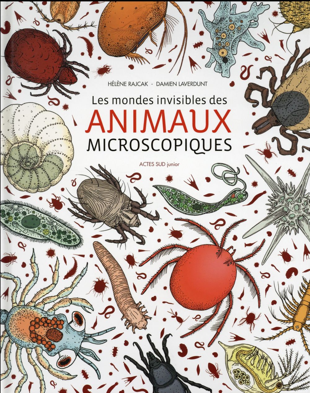 Les mondes invisibles des animaux microscopiques
