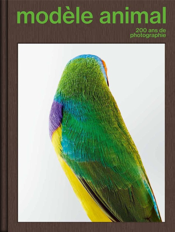Modèle animal. 200 ans de photographie
