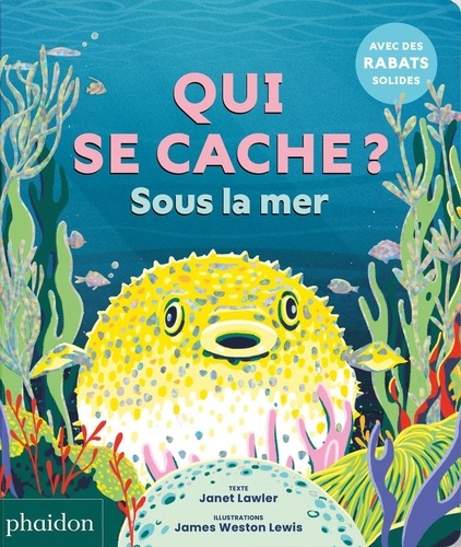 Qui se cache sous la mer ? Avec des rabats solides !