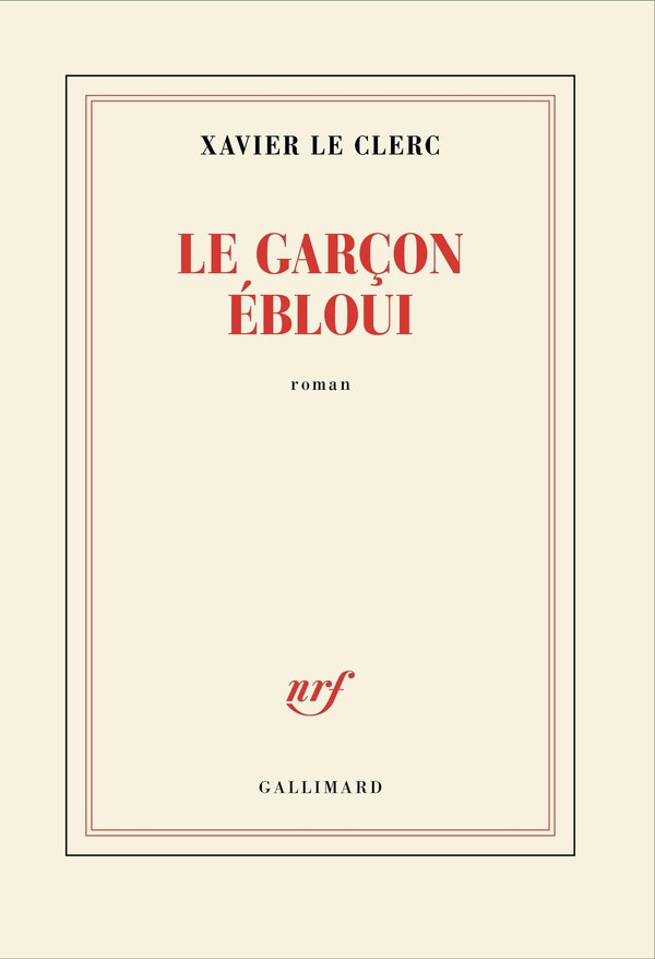 Le garçon ébloui