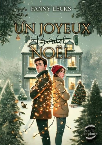 Un joyeux (bordel) Noël