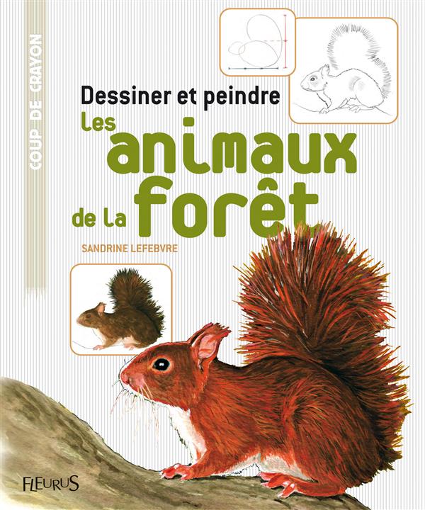 Dessiner et peindre les animaux de la forêt