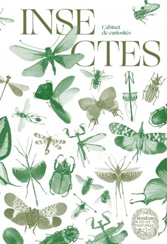 Insectes - Minuscules colosses