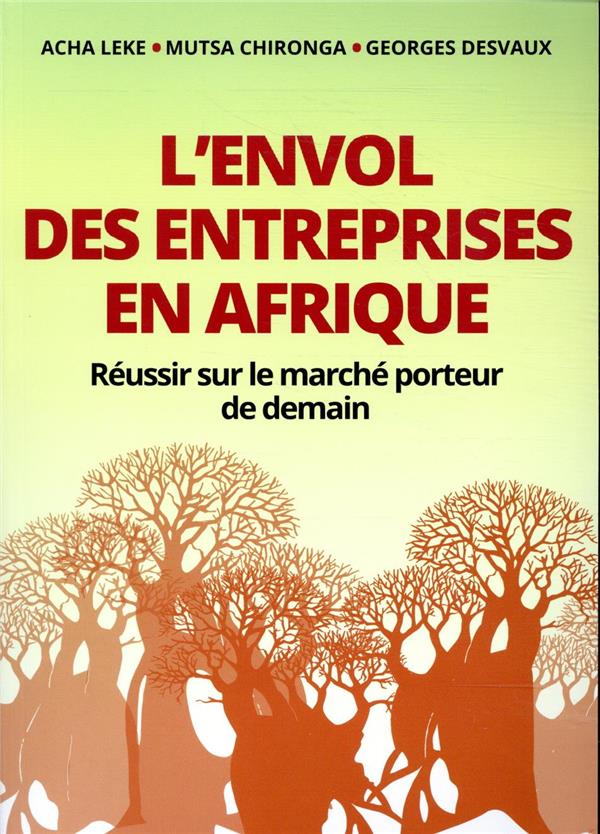 L'envol des entreprises en Afrique. Réussir sur le marché porteur de demain