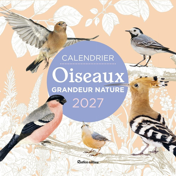 Calendrier Oiseaux grandeur nature. Edition 2027