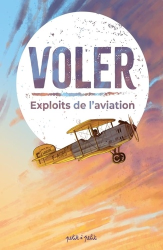 Voler. Récits de 15 aventures aériennes