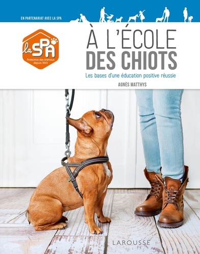 A l'école des chiots. Les bases d'une éducation positive réussie