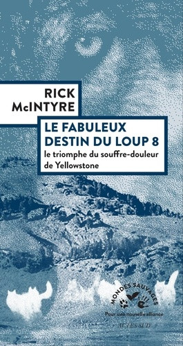 Le fabuleux destin du loup 8. Le triomphe du souffre-douleur de Yellowstone
