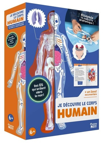 Je découvre le corps humain. Assemble ta maquette anatomique !