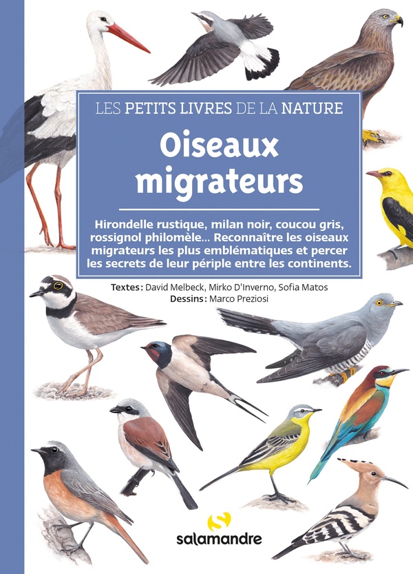 Oiseaux migrateurs