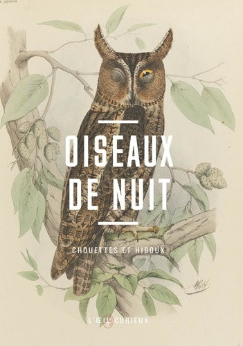 Oiseaux de nuit. Chouettes et hiboux