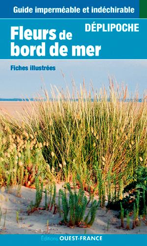 Fleurs du bord de mer