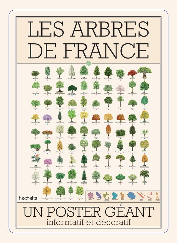 LES ARBRES DE FRANCE - UN POSTER GEANT INFORMATIF ET DECORATIF