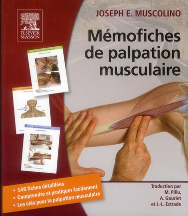Mémofiches de palpation musculaire
