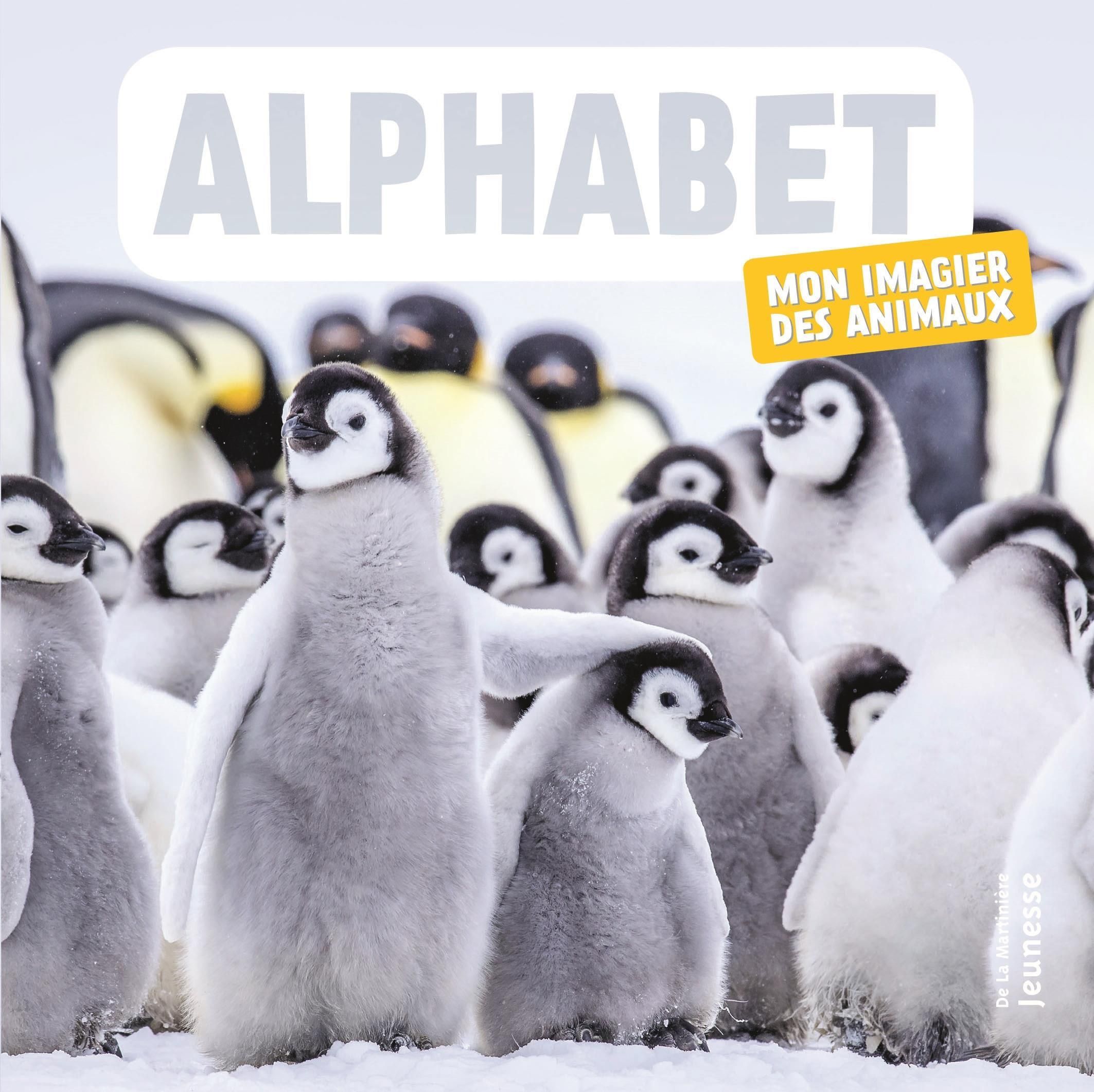 Alphabet. Mon imagier des animaux
