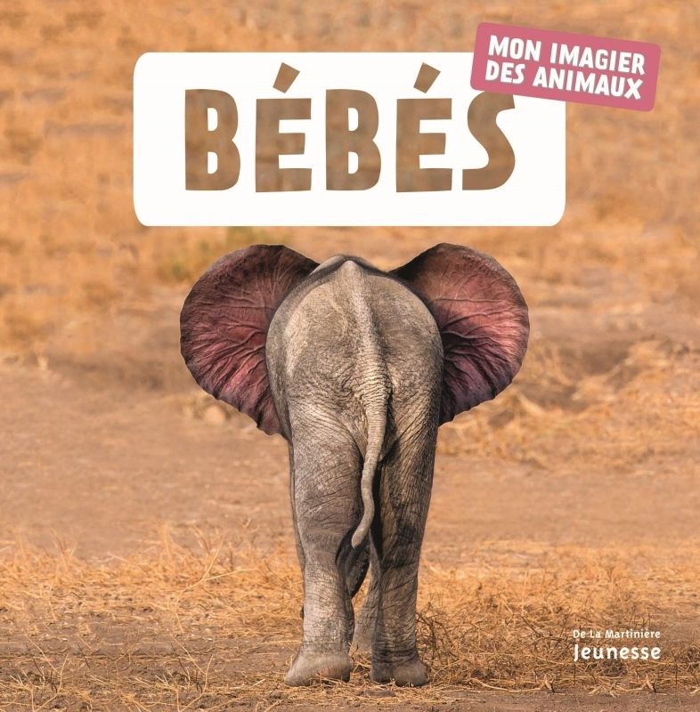 Bebés
