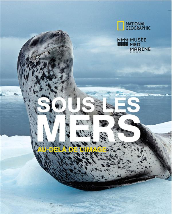 Sous les mers. Au-delà de l'image