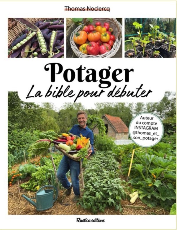 Potager. La bible pour débuter