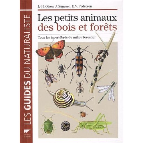 Les petits animaux des bois et des forêts. Tous les invertébrés du milieu forestier