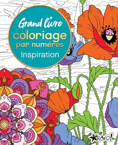 Inspiration. Grand livre coloriage par numéros