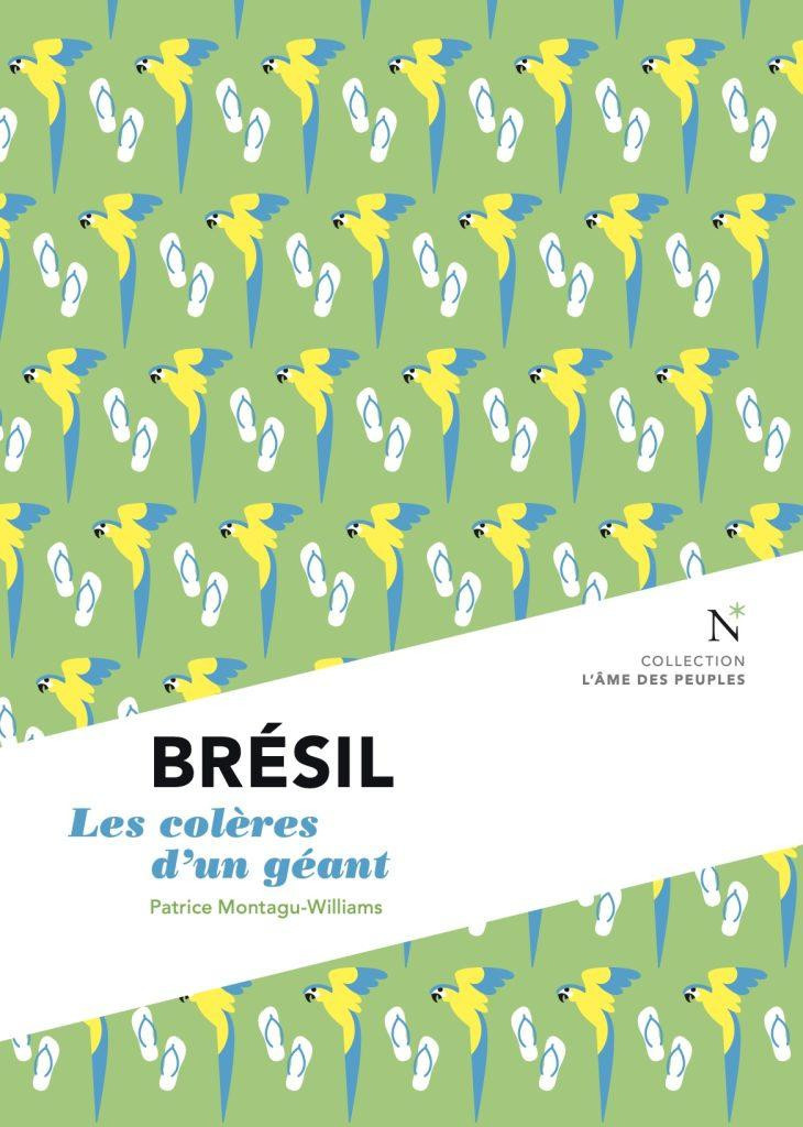 Bresil. Les colères d'un géant